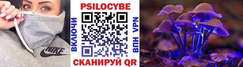 Псилоцибиновые грибы мицелий Новочебоксарск